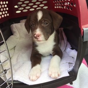 Meet your Posher, Tyler